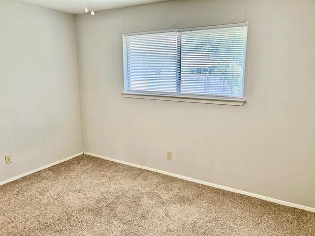 3413 Rocky Hollow Trl Property Photo 26