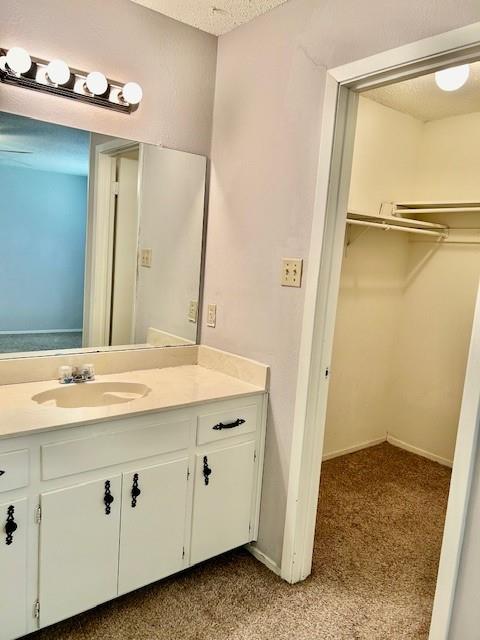3413 Rocky Hollow Trl Property Photo 28
