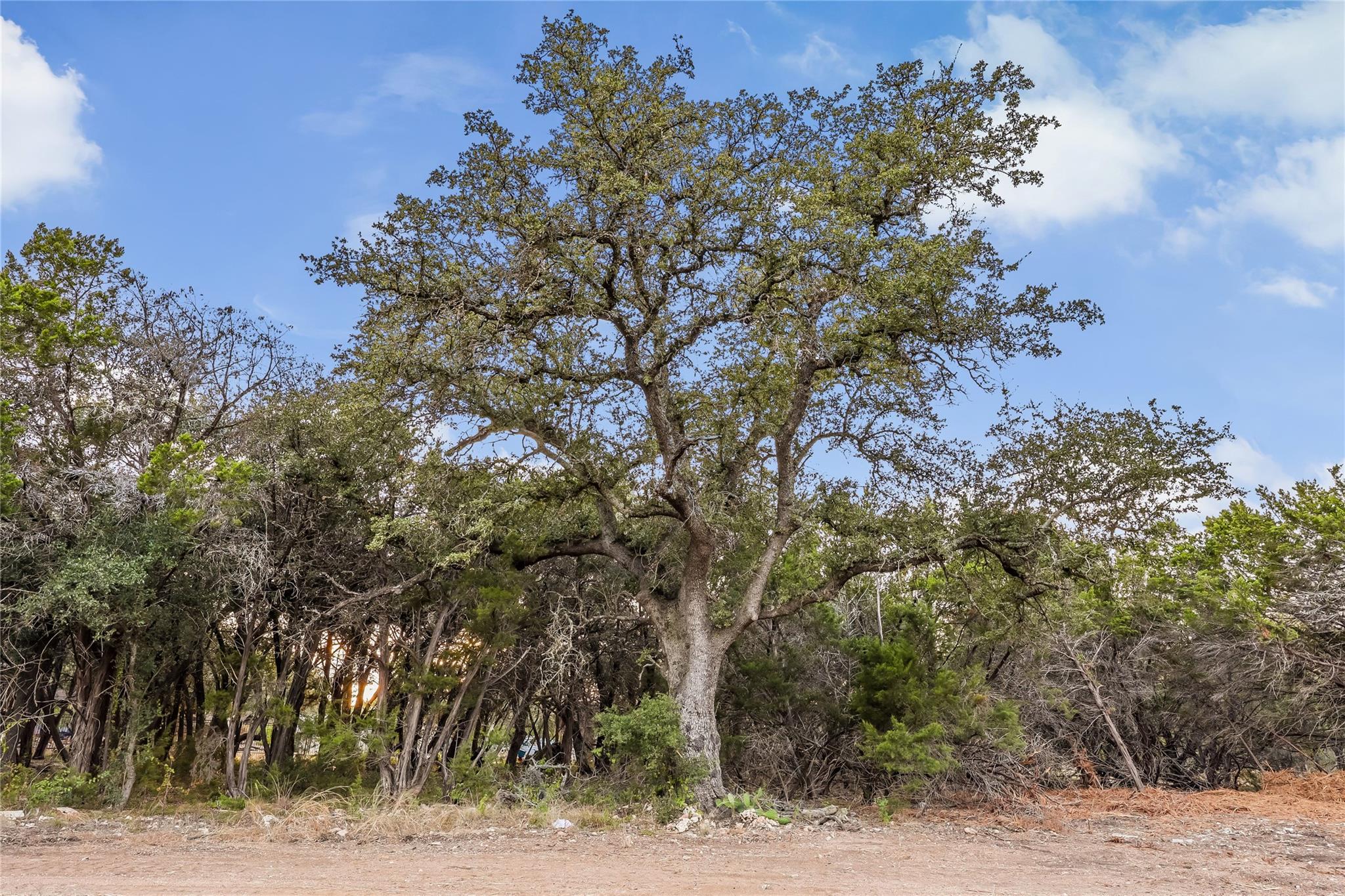 116 Apache Trl Property Photo 35