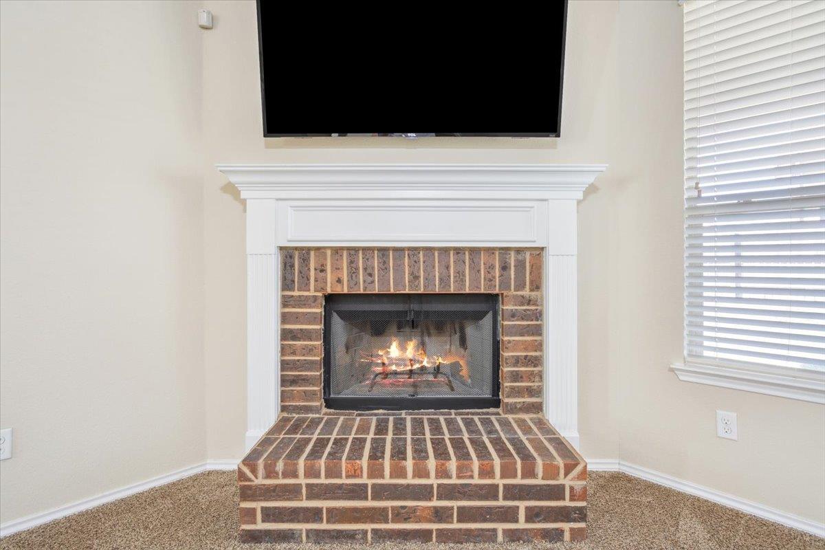 1110 Basalt Ct Property Photo 10