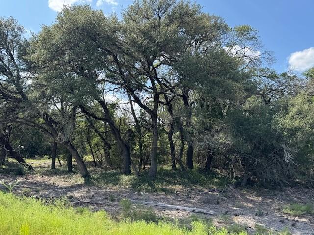 Lot 23 Rifle Ridge None Property Photo 2