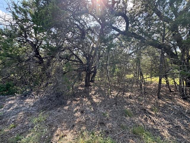 Lot 23 Rifle Ridge None Property Photo 5