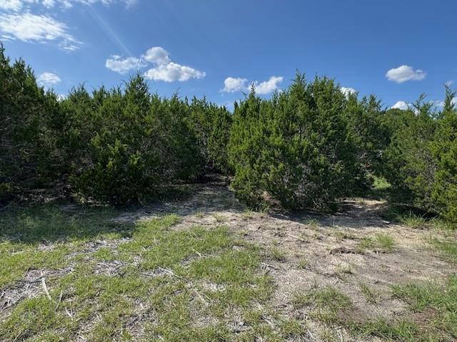 Lot 23 Rifle Ridge None Property Photo 9