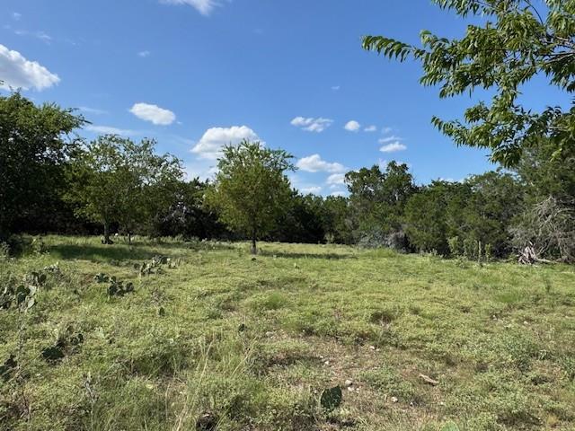 Lot 23 Rifle Ridge None Property Photo 10