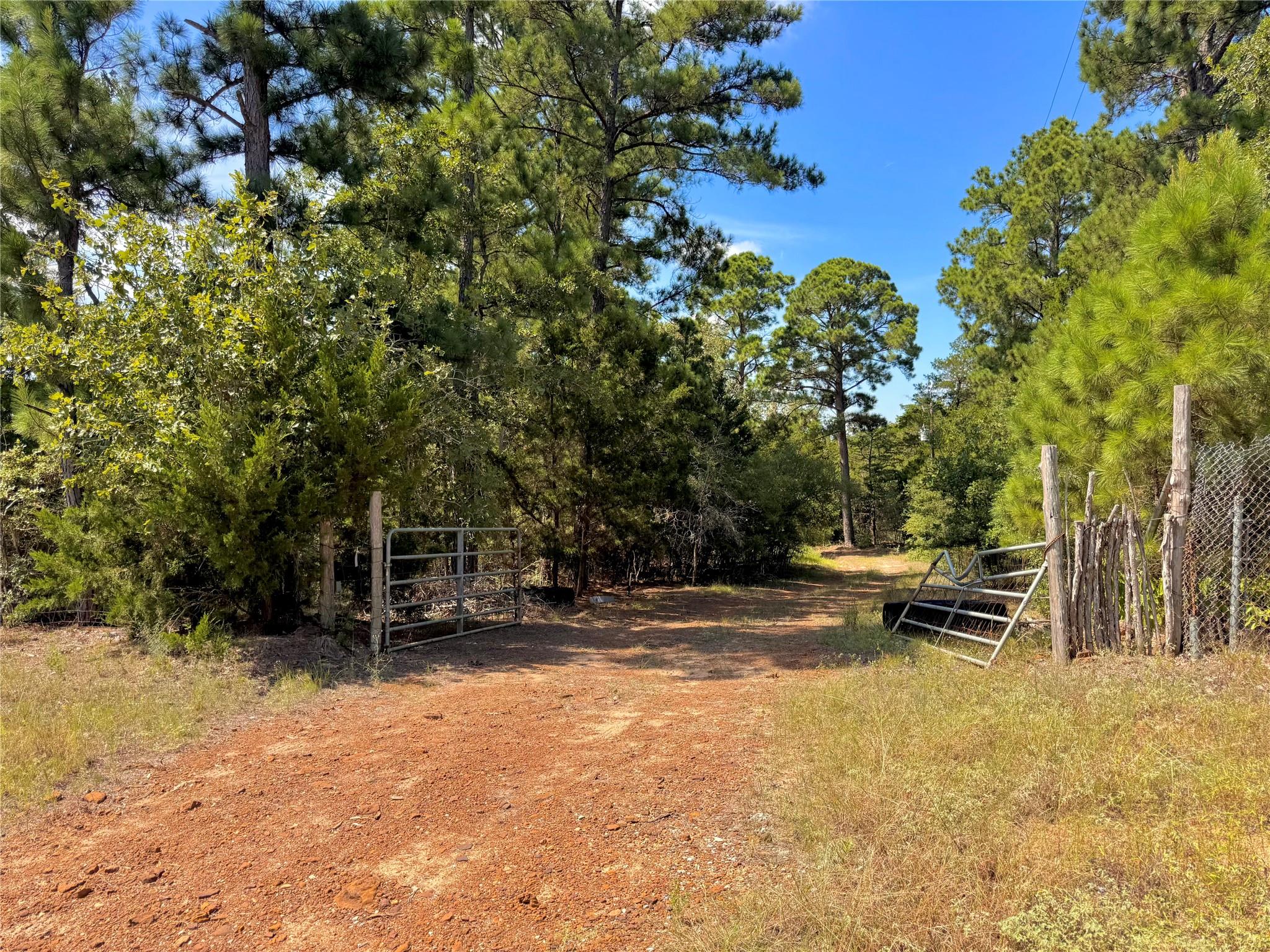 445 Pine Valley Loop Property Photo 1
