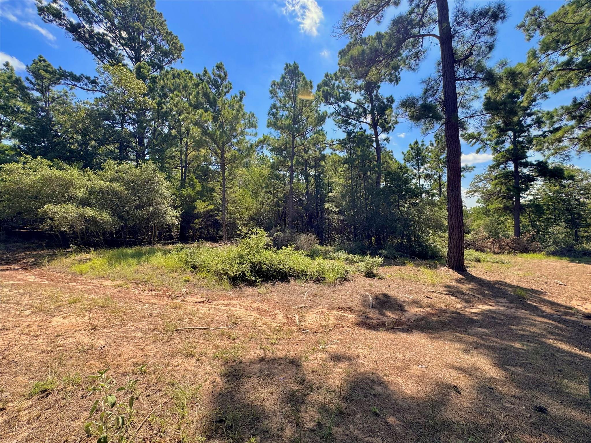 445 Pine Valley Loop Property Photo 2