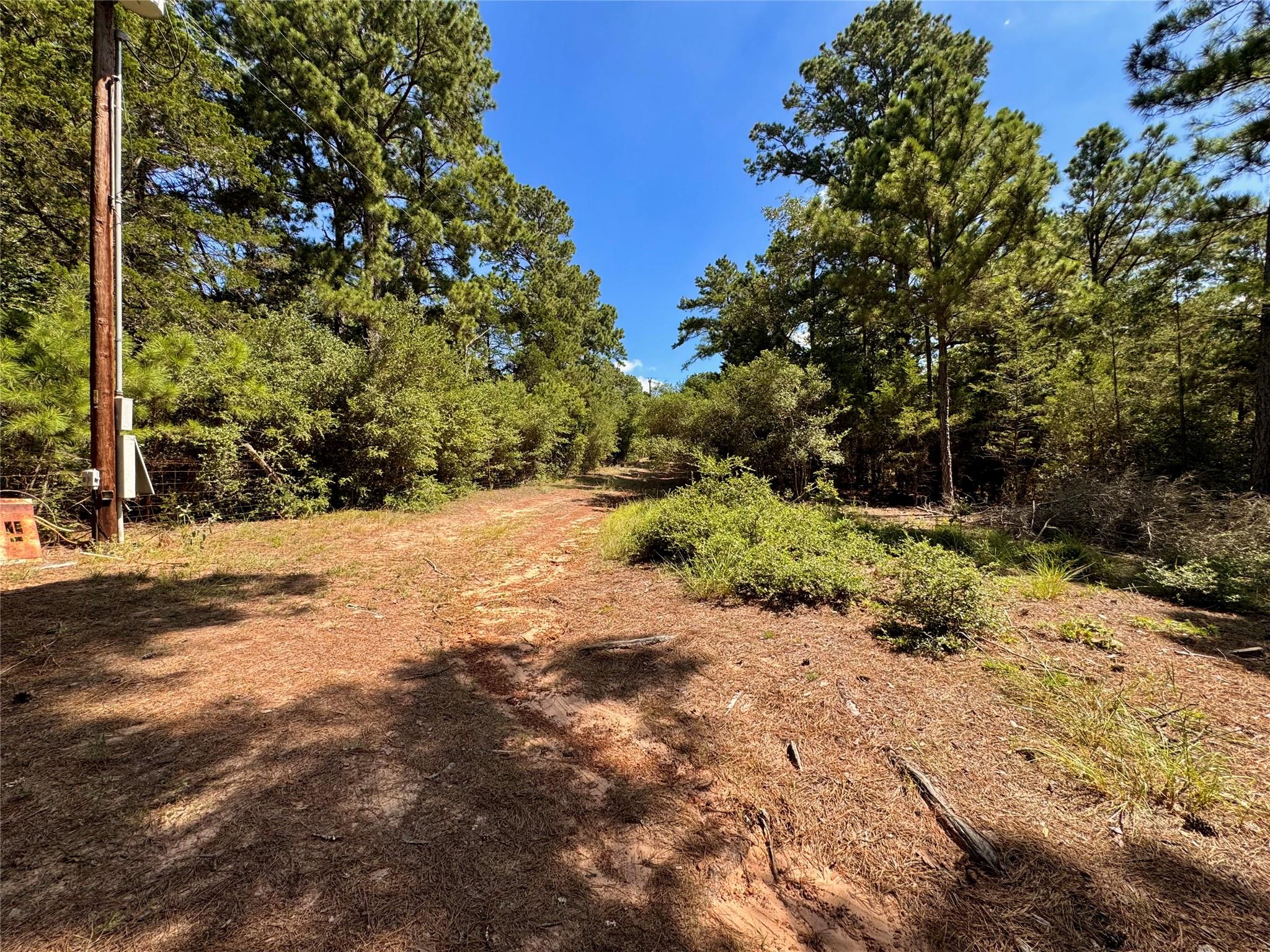 445 Pine Valley Loop Property Photo 7