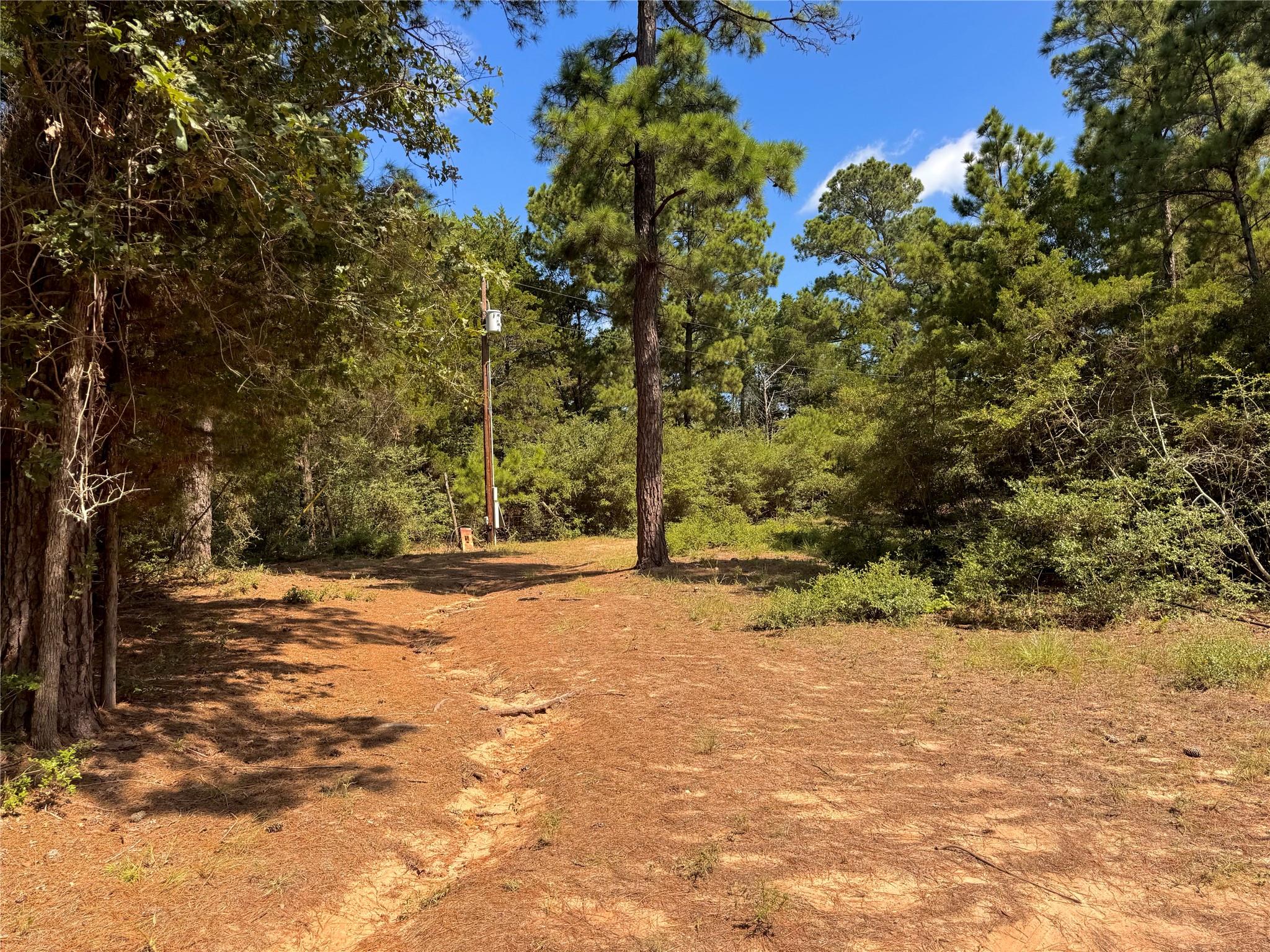 445 Pine Valley Loop Property Photo 8
