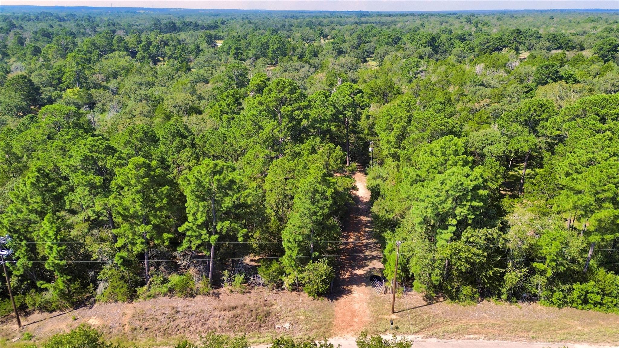 445 Pine Valley Loop Property Photo 9