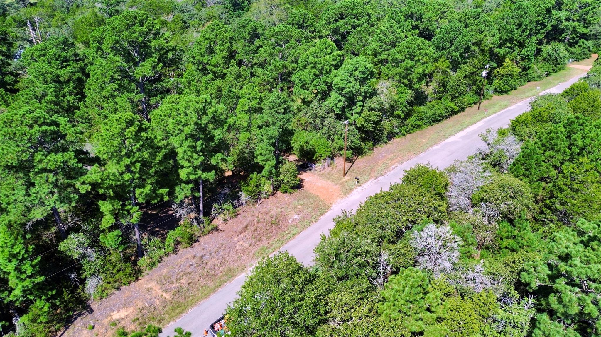 445 Pine Valley Loop Property Photo 10