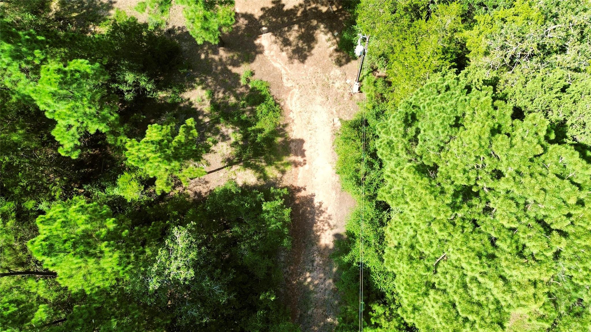 445 Pine Valley Loop Property Photo 11