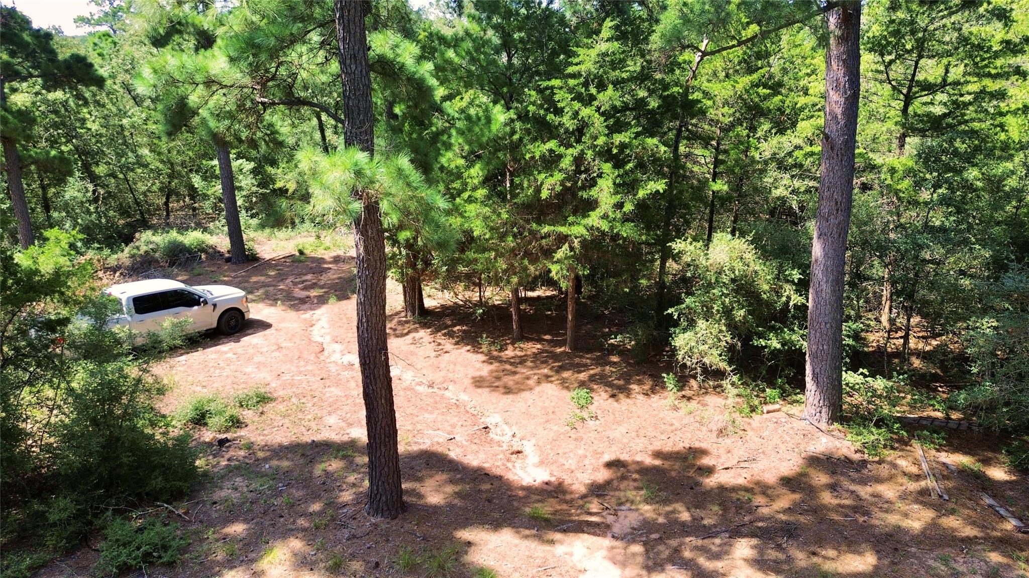 445 Pine Valley Loop Property Photo 12