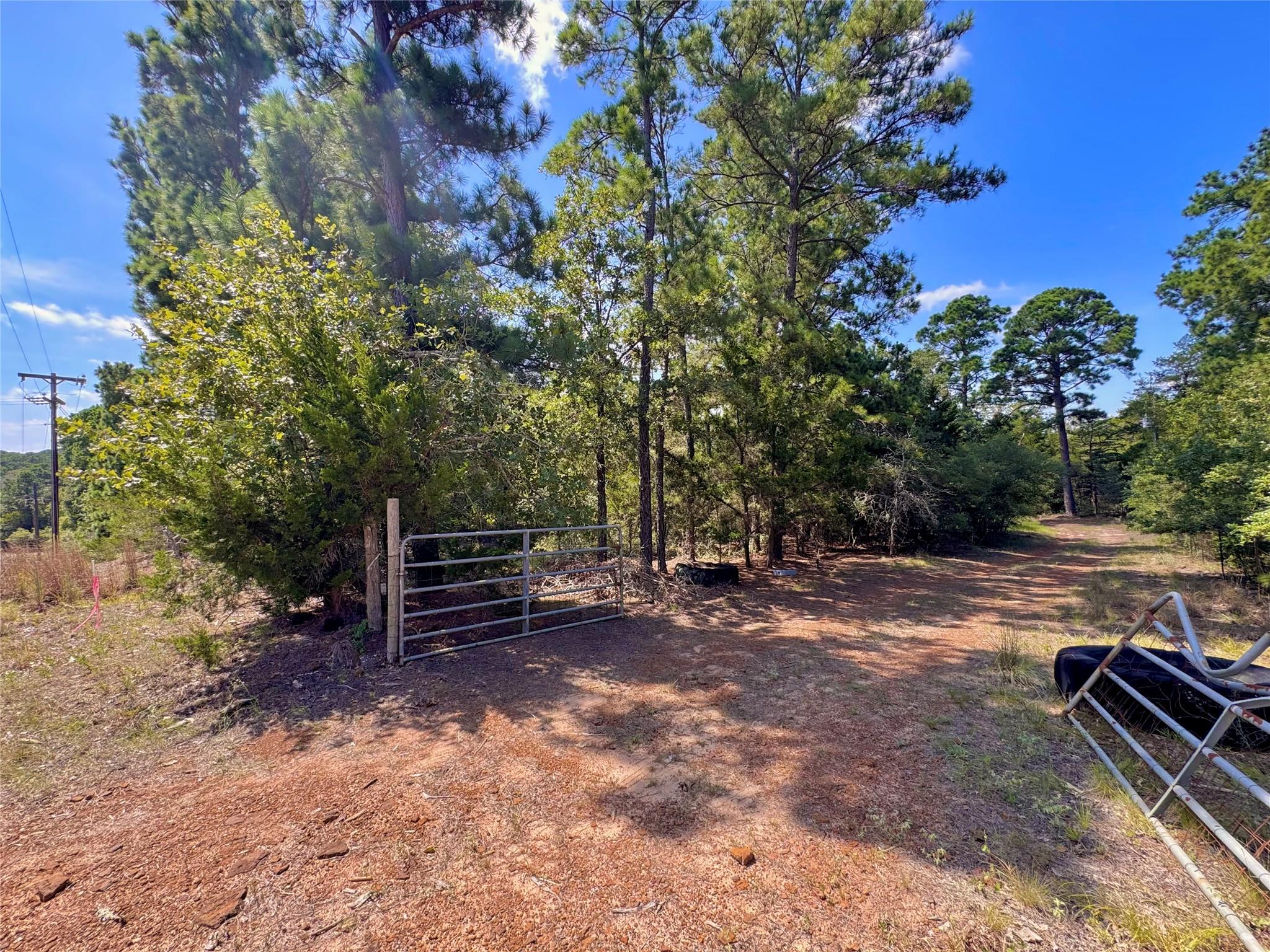 445 Pine Valley Loop Property Photo 13