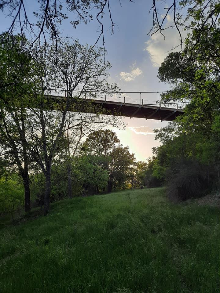 441 County Road 433 None