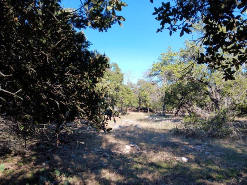101 Timber Line Rd Property Photo 3