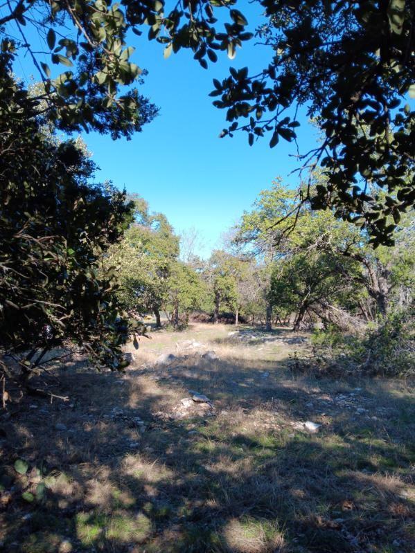 101 Timber Line Rd Property Photo 4