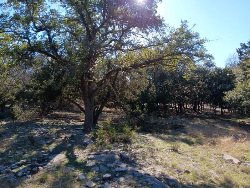101 Timber Line Rd Property Photo 6