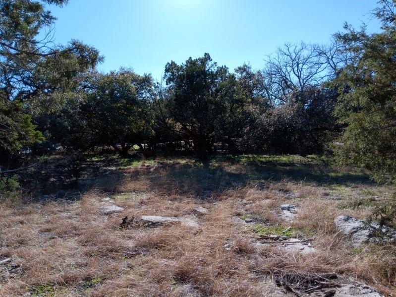 101 Timber Line Rd Property Photo 8