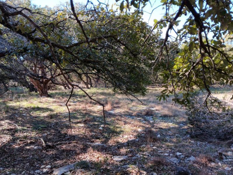 101 Timber Line Rd Property Photo 9