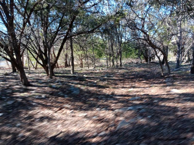 101 Timber Line Rd Property Photo 11