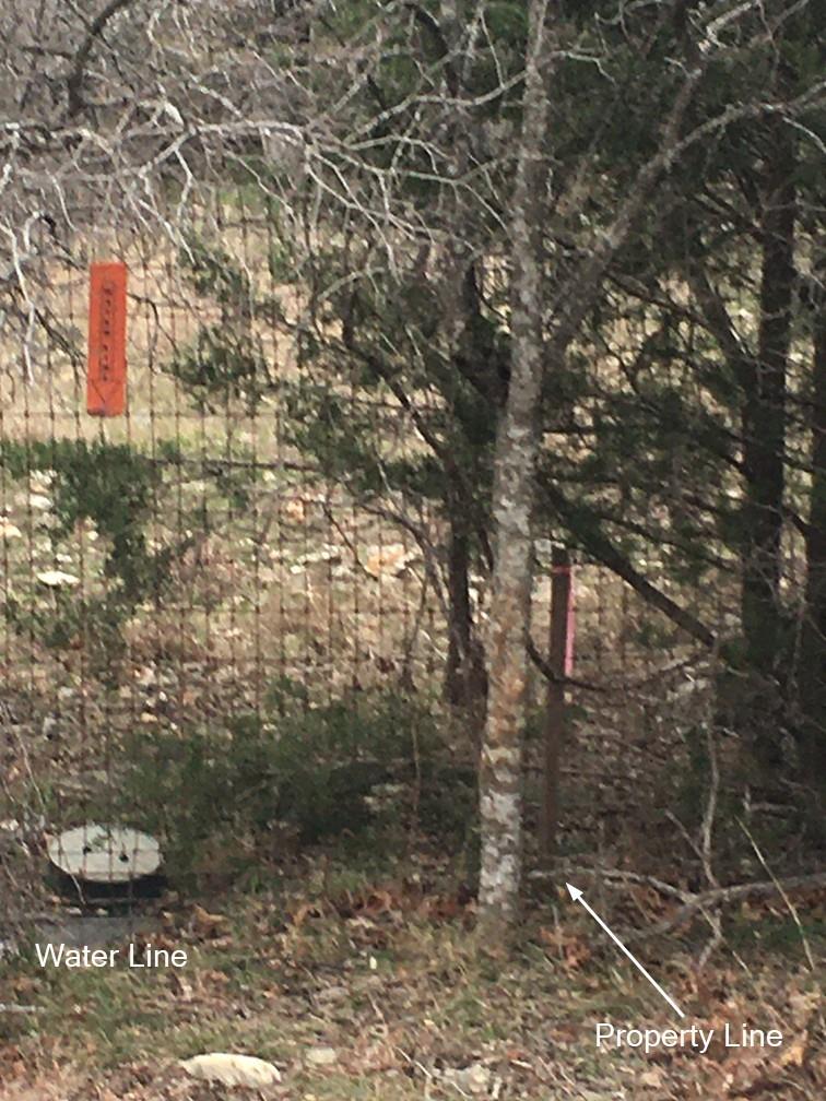 101 Timber Line Rd Property Photo 12