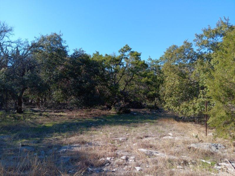 101 Timber Line Rd Property Photo 15