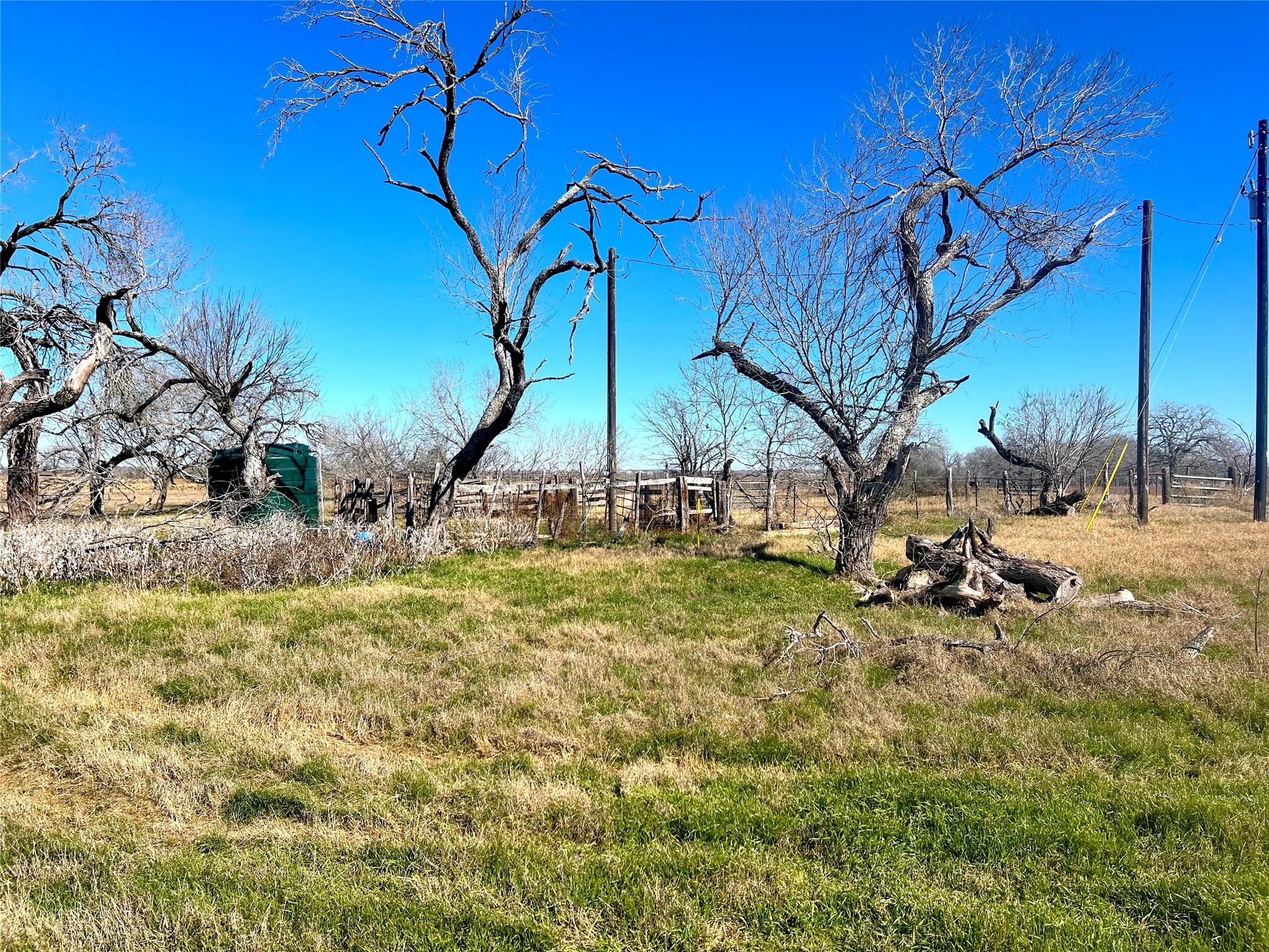 5615 Tenney Creek Rd Property Photo 9