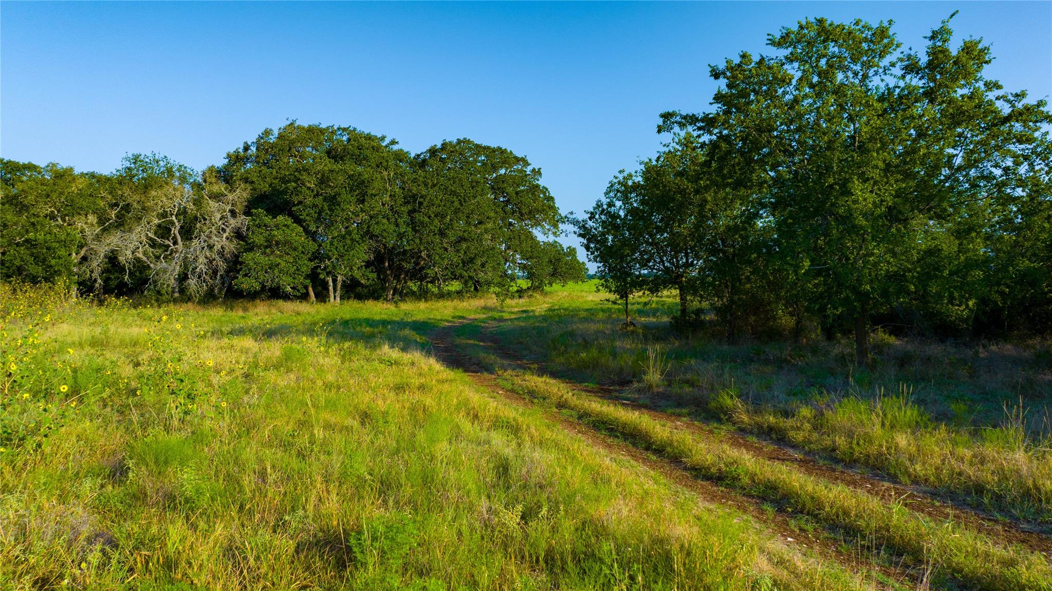 Tbd County Road 243 None Property Photo 4