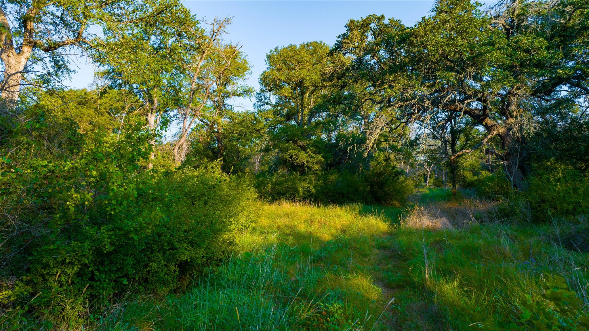 Tbd County Road 243 None Property Photo 8