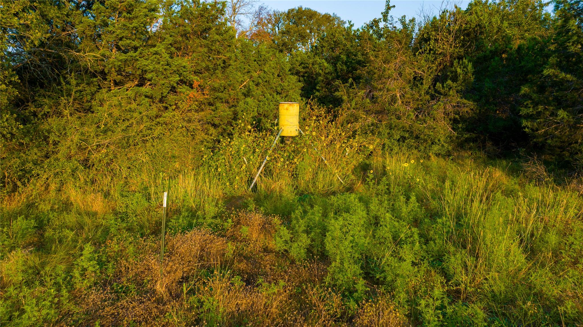Tbd County Road 243 None Property Photo 9