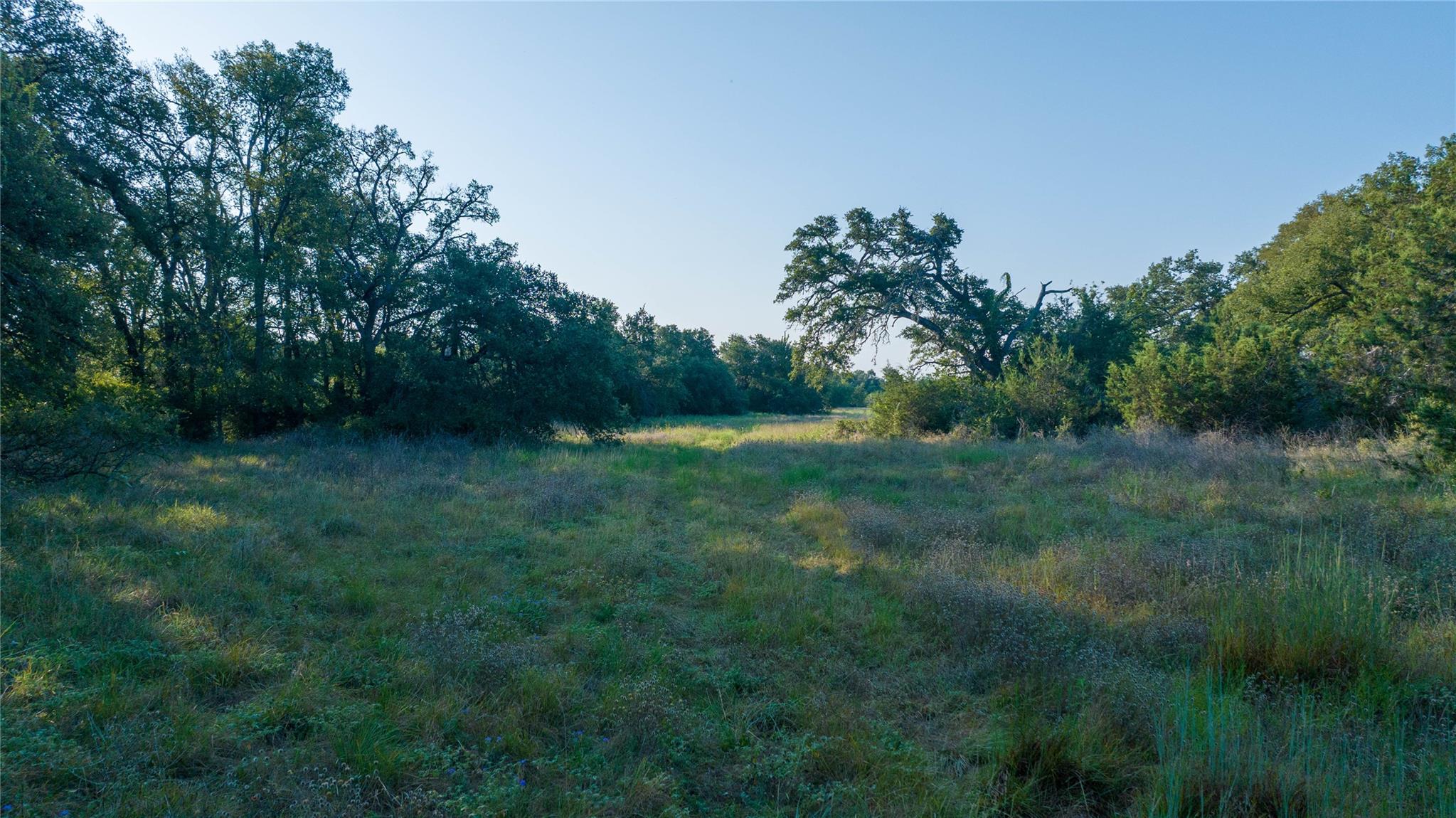 Tbd County Road 243 None Property Photo 12