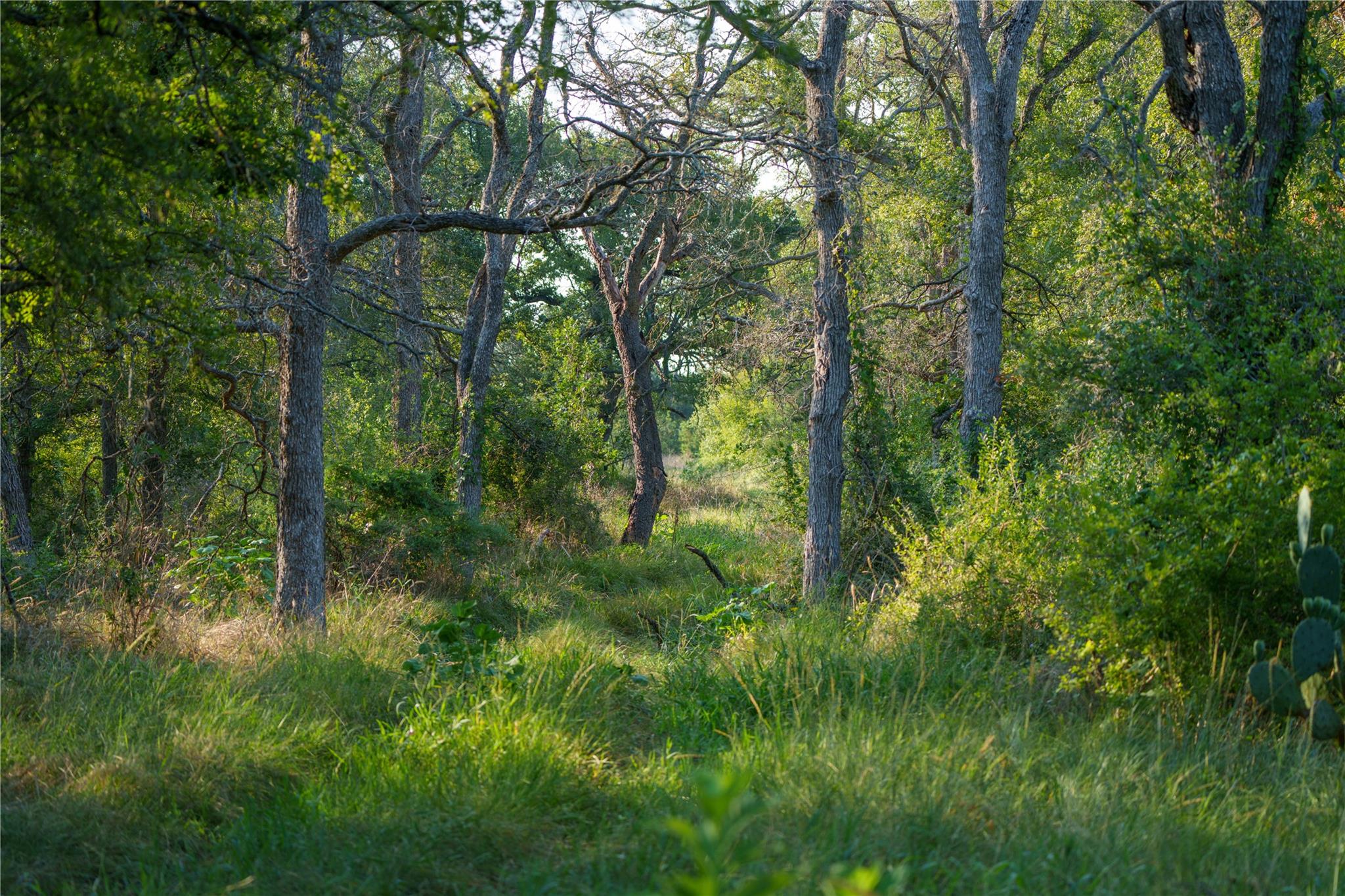 Tbd County Road 243 None Property Photo 16
