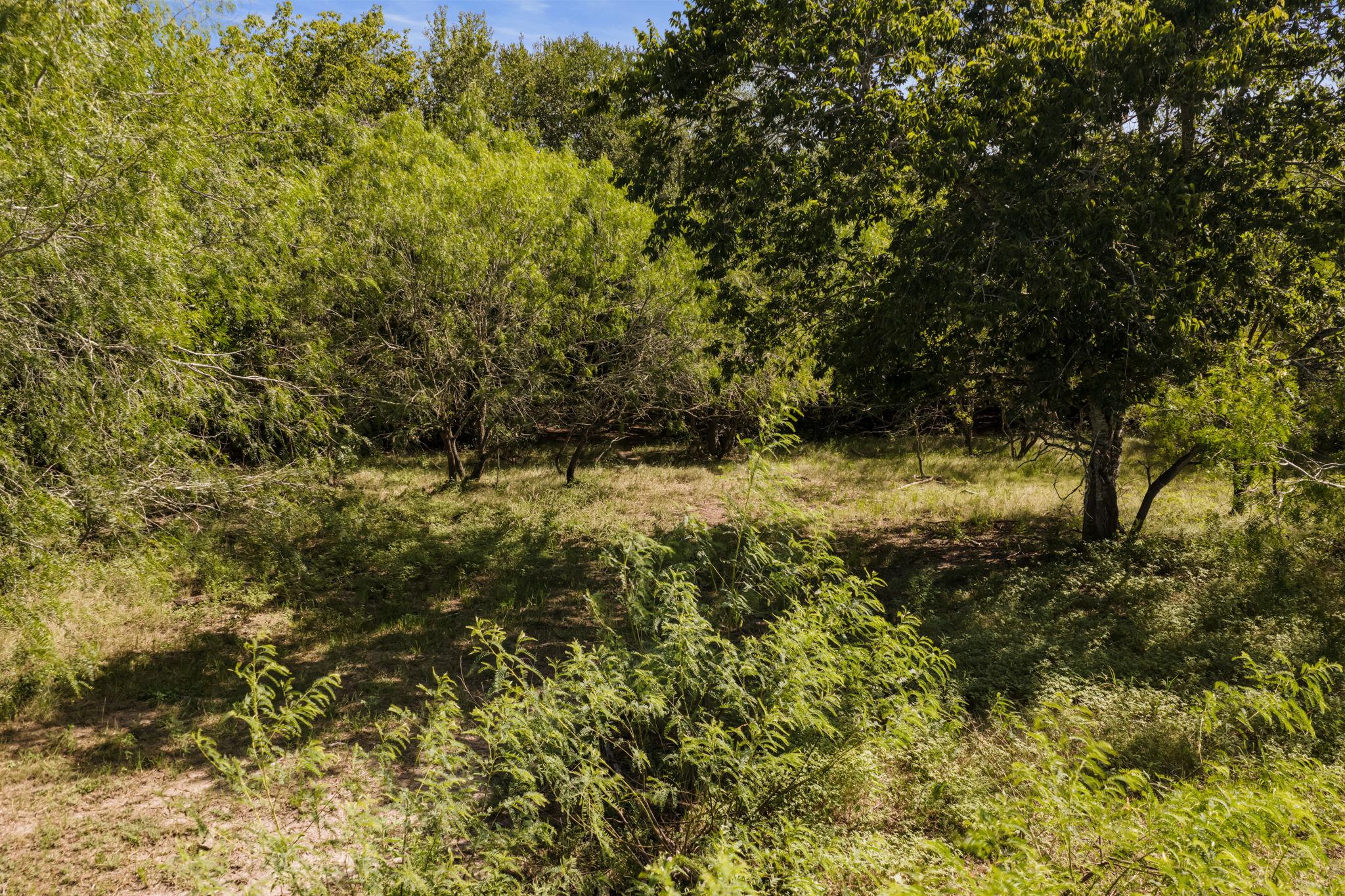 625 Callihan Rd Property Photo 23