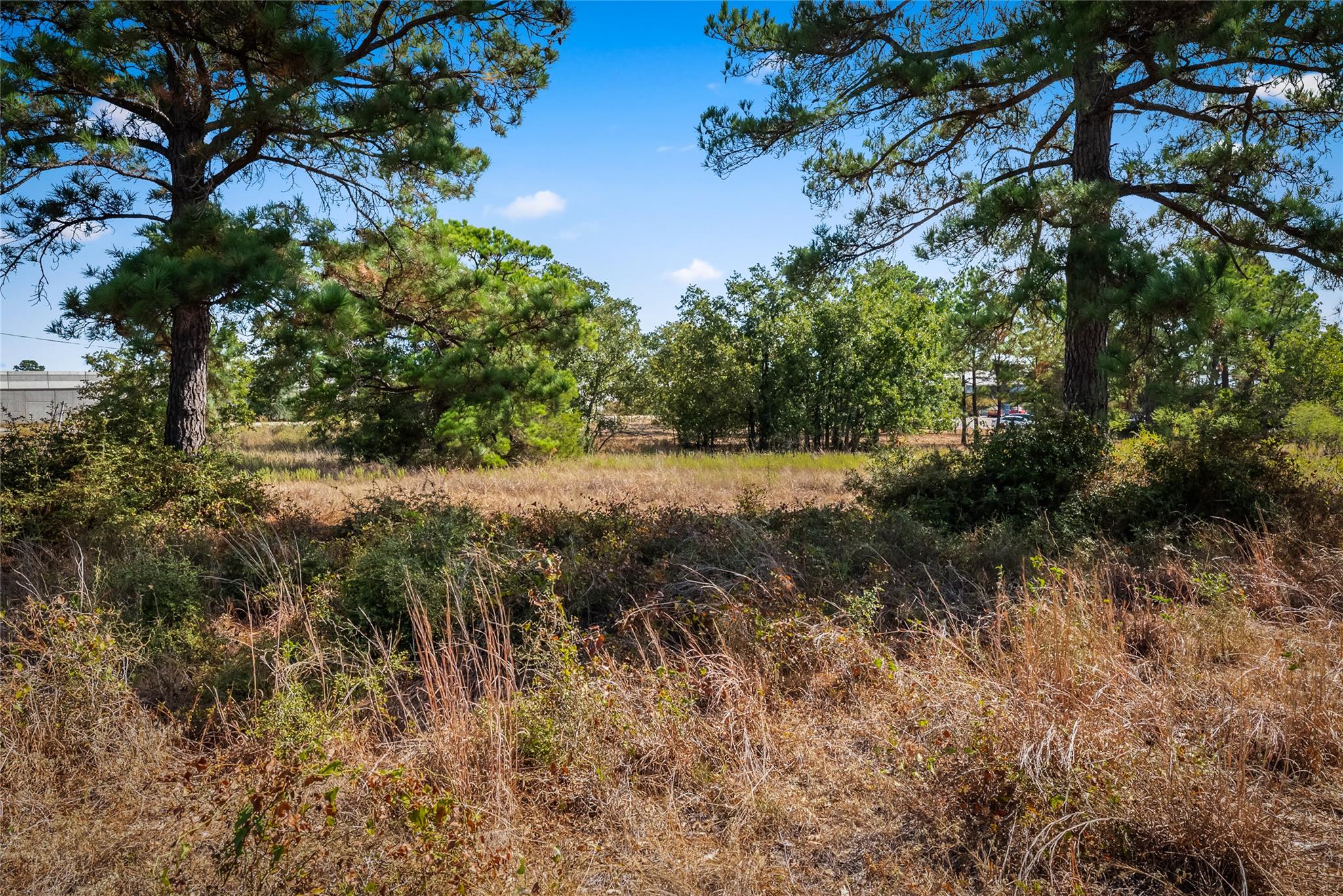 4841373 Property Photo 14