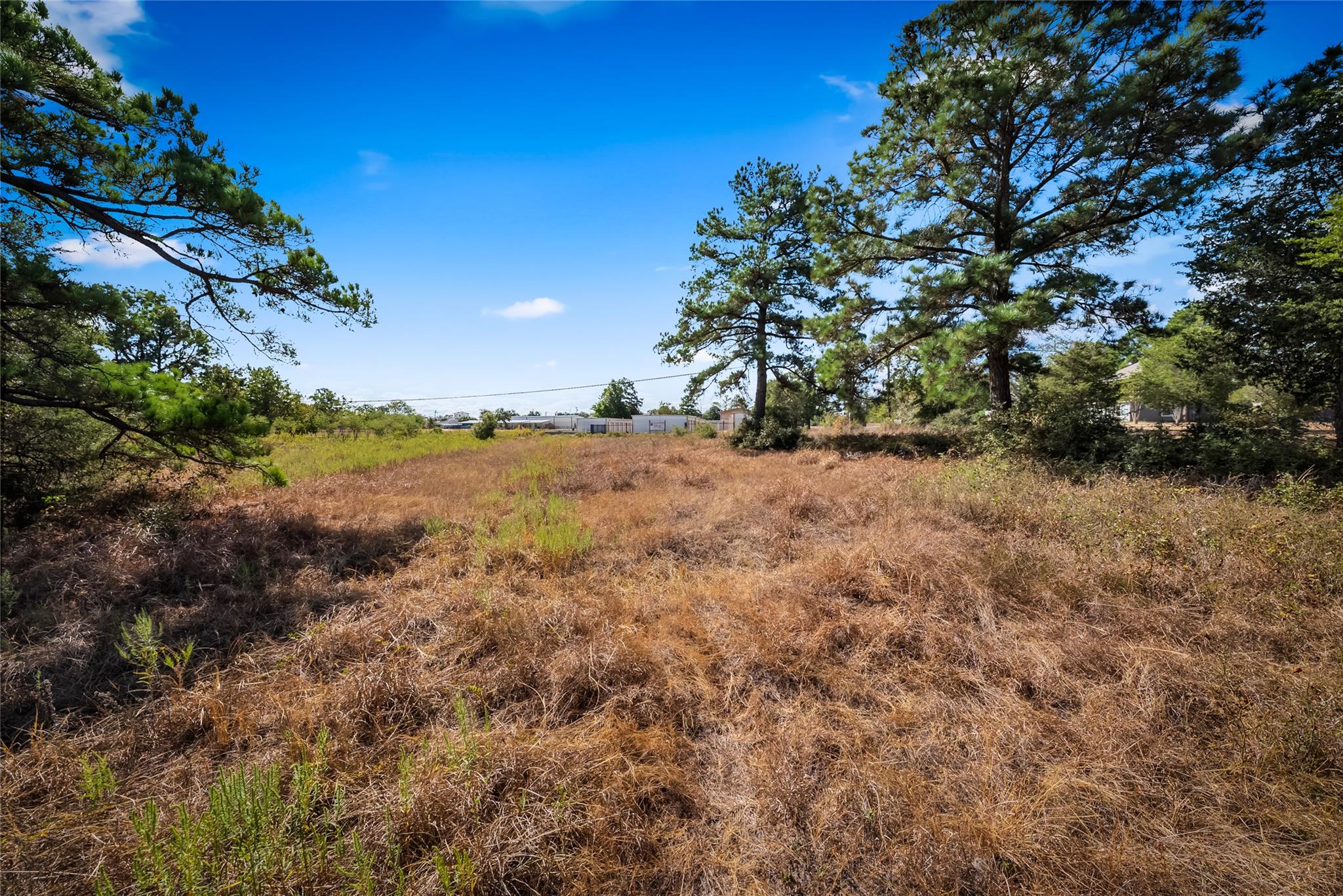 4841373 Property Photo 17