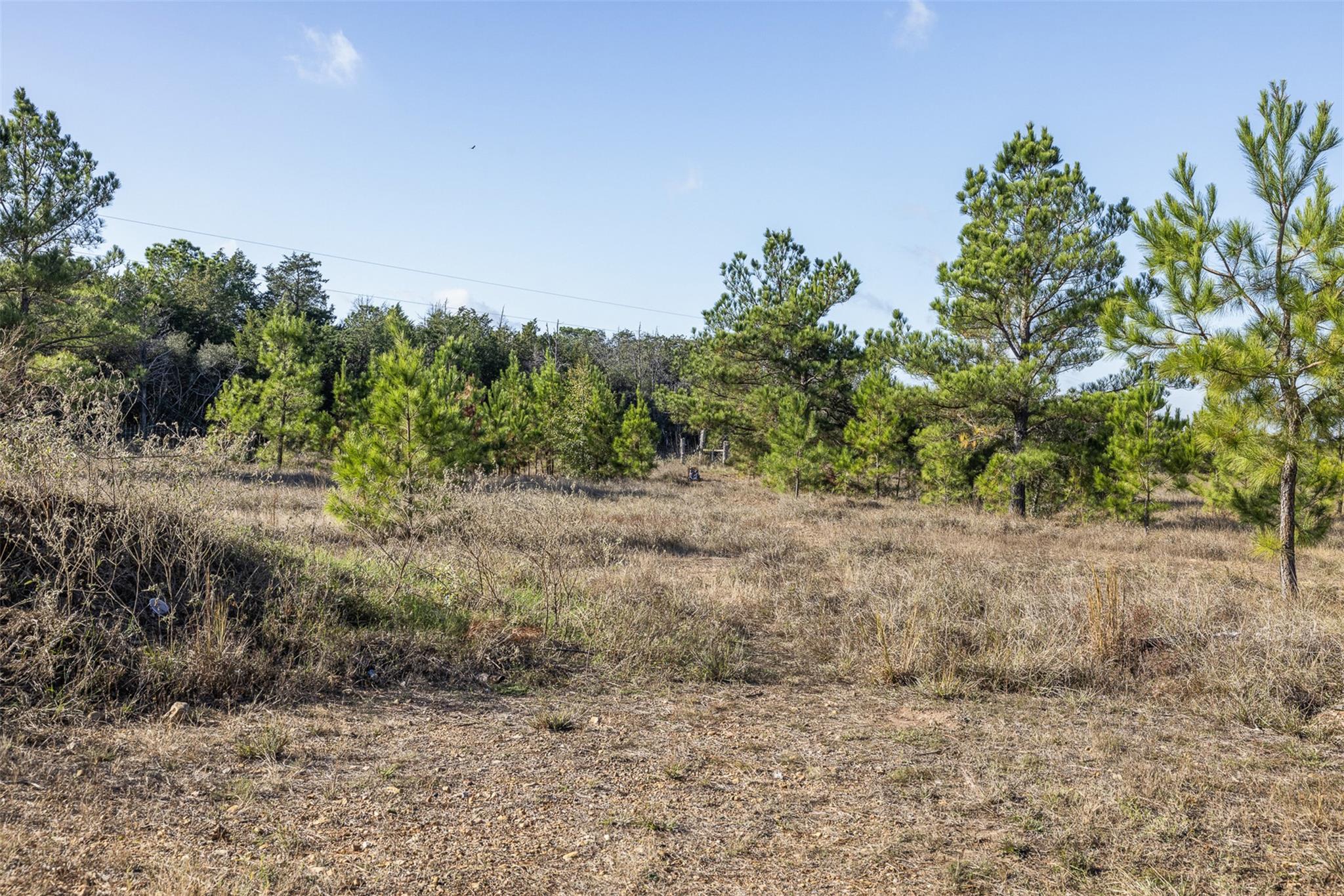1759 Gotier Trace Rd Property Photo 4