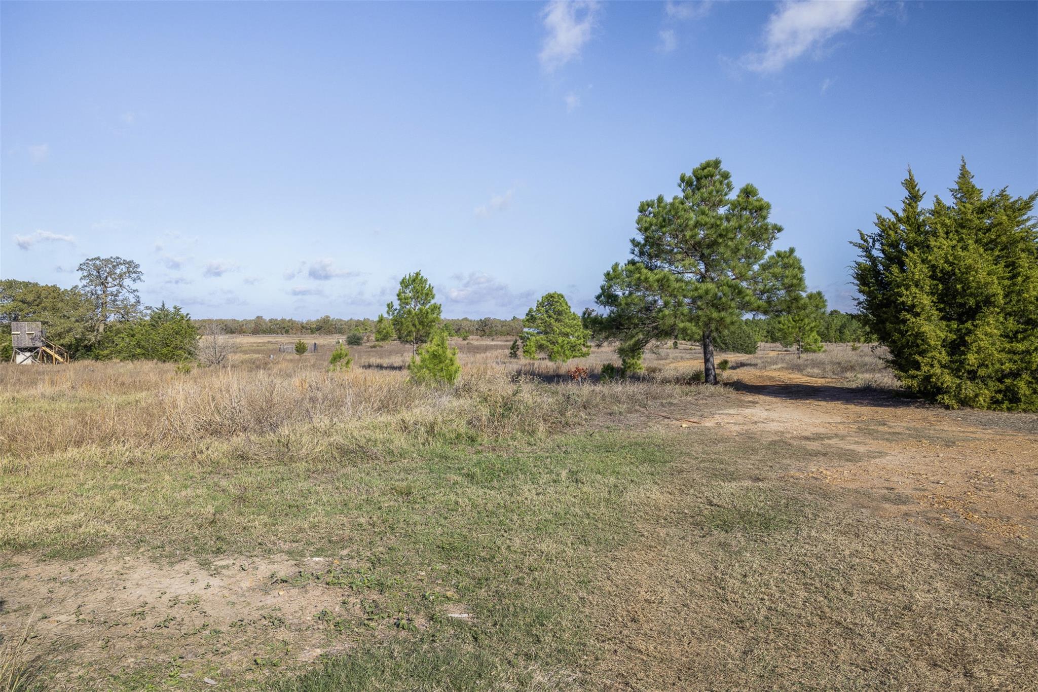 1759 Gotier Trace Rd Property Photo 6