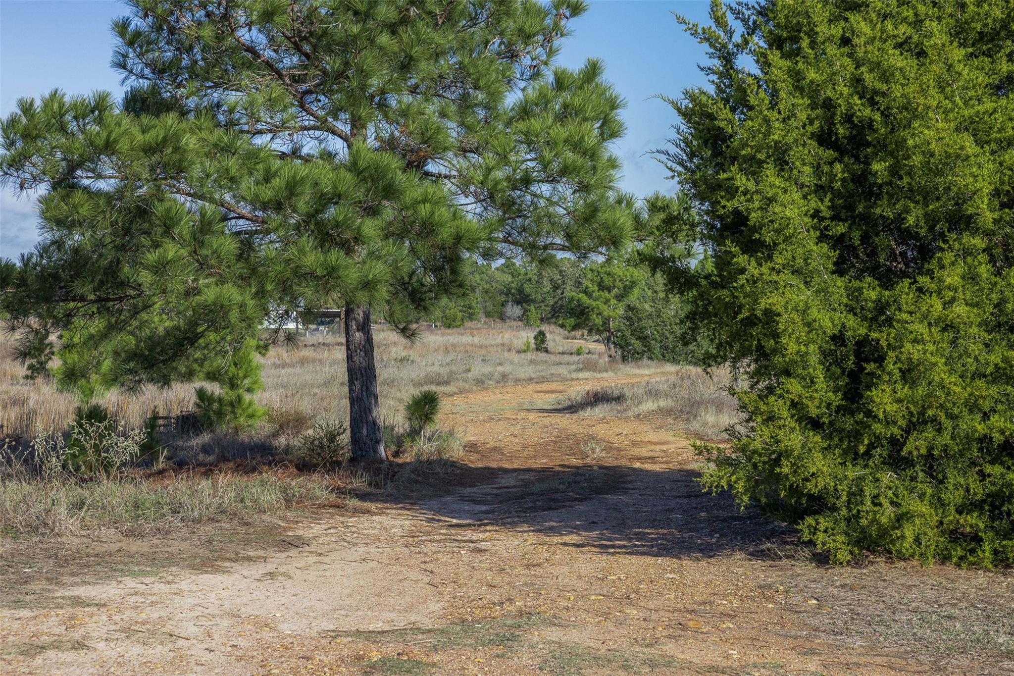 1759 Gotier Trace Rd Property Photo 7