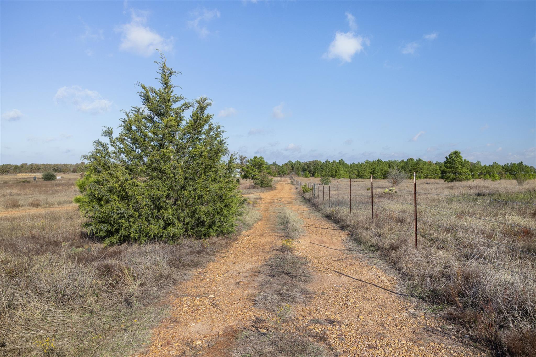 1759 Gotier Trace Rd Property Photo 24