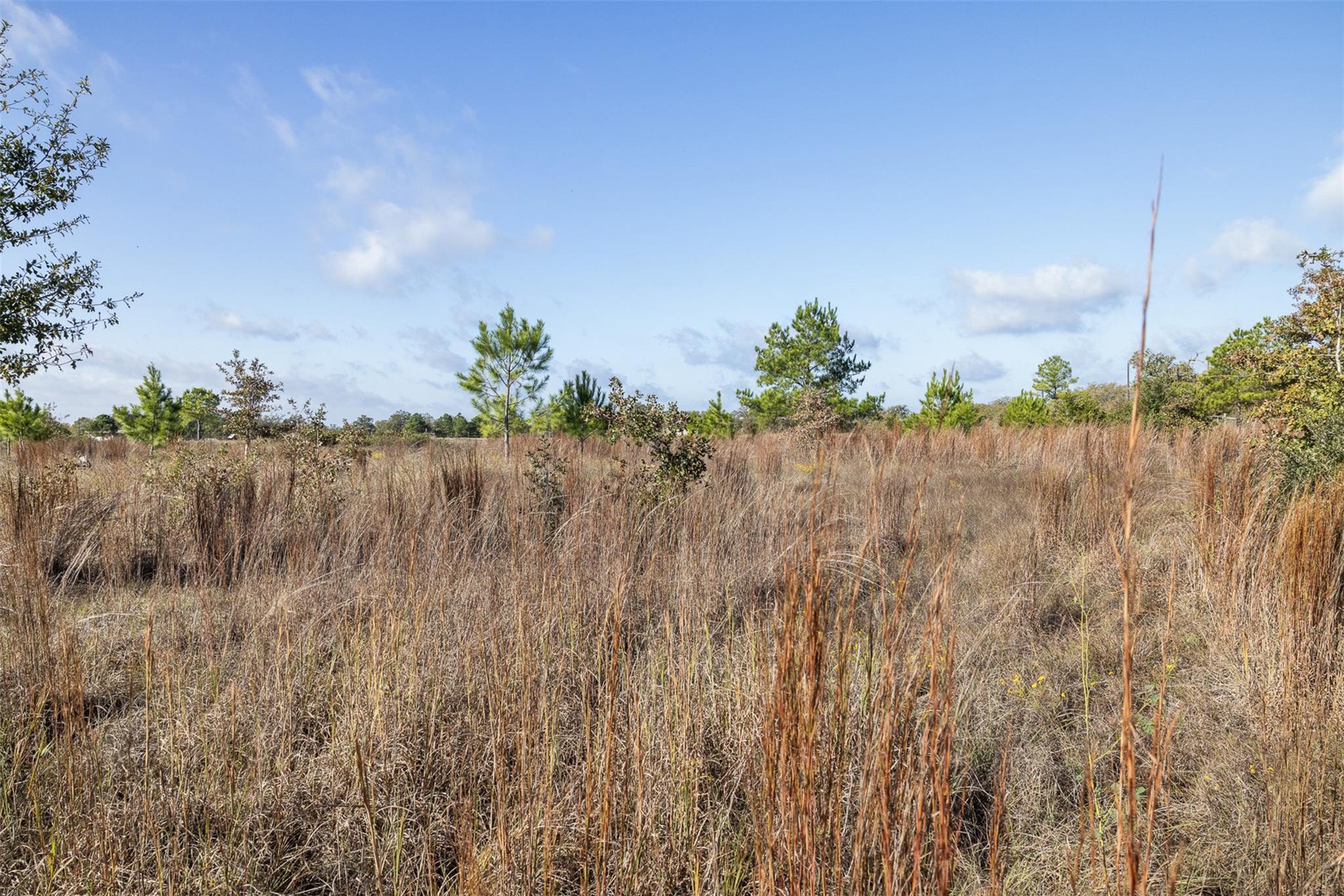 1759 Gotier Trace Rd Property Photo 30