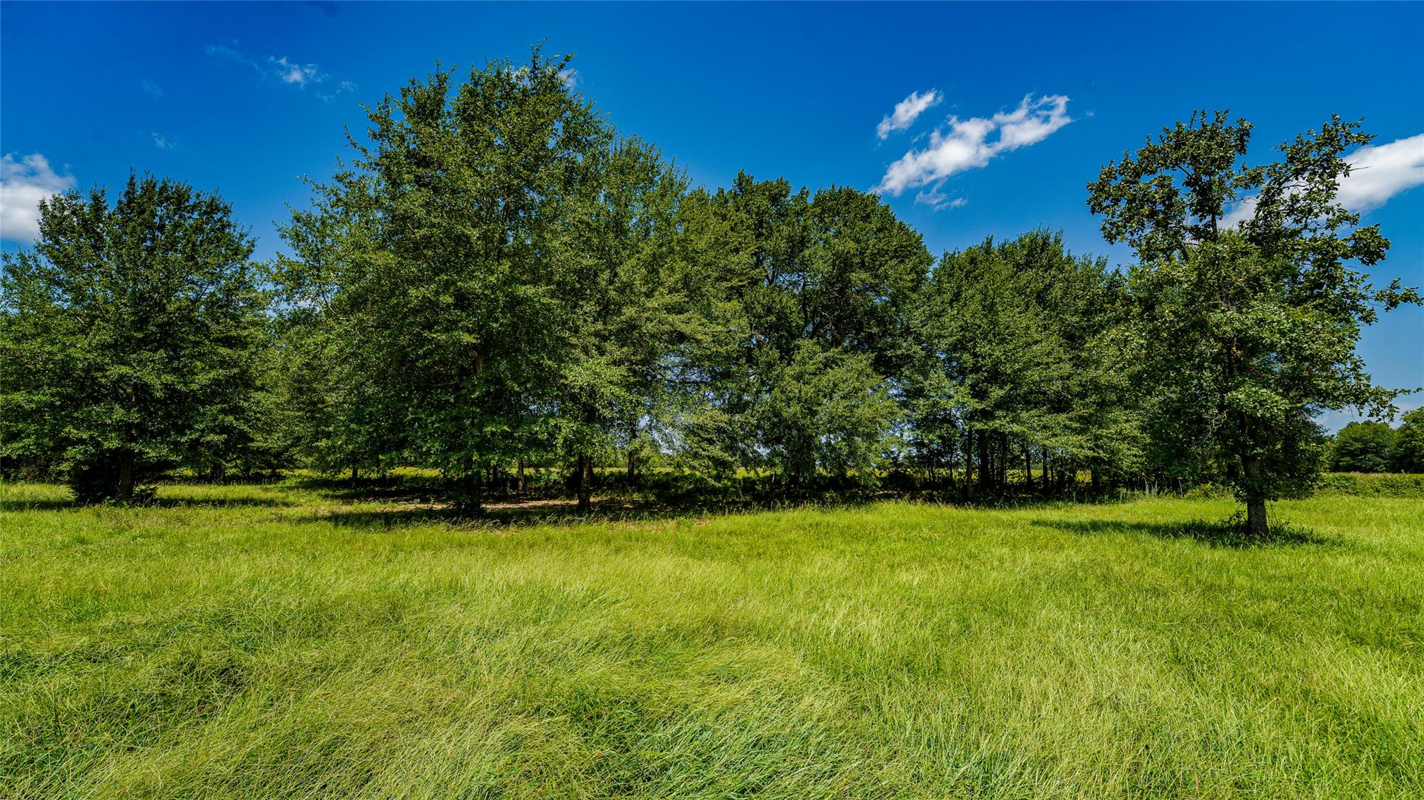 Tbd Cr 357 None Property Photo 1