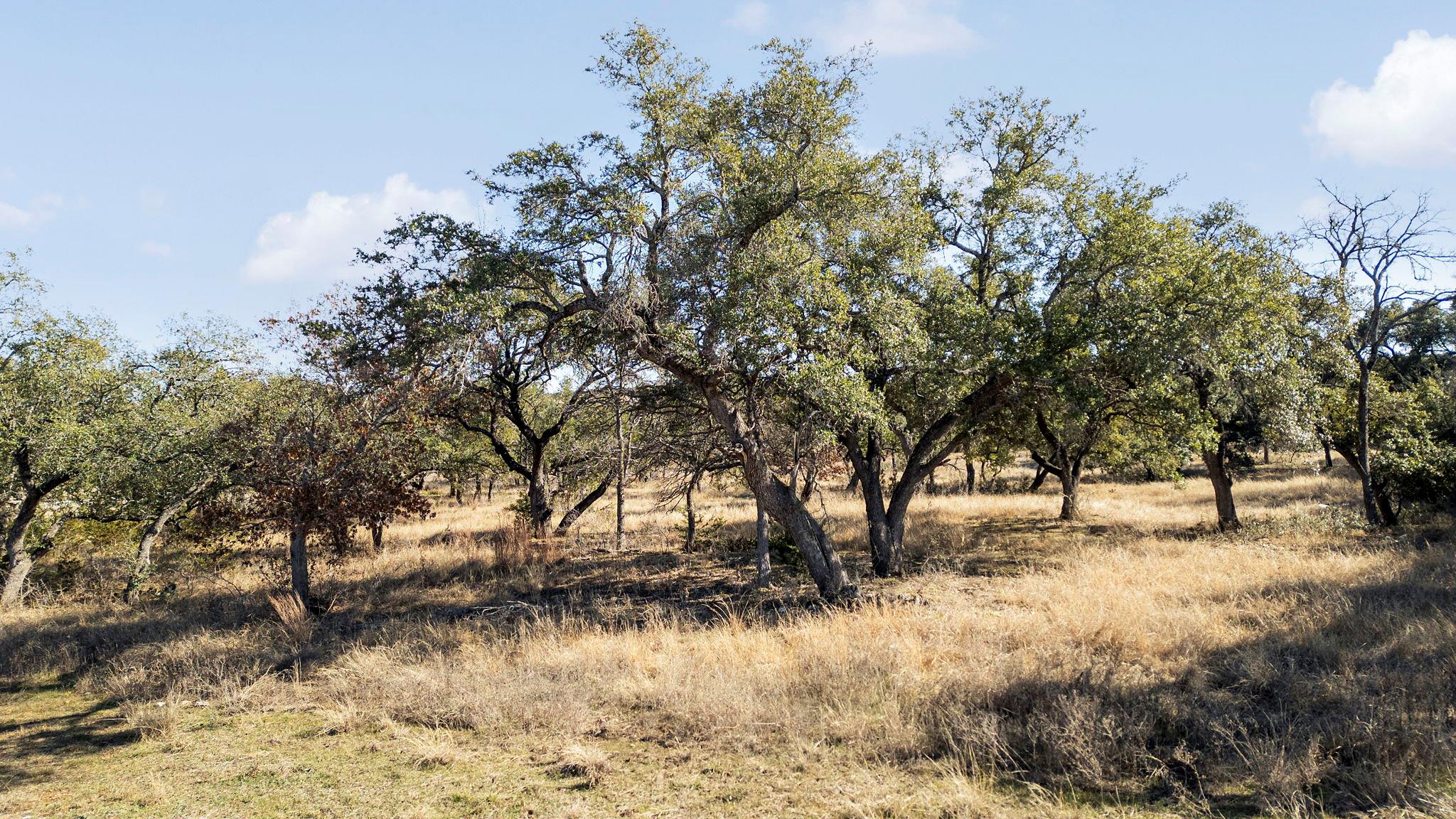 204 E Rio Ranch Rd Property Photo 15