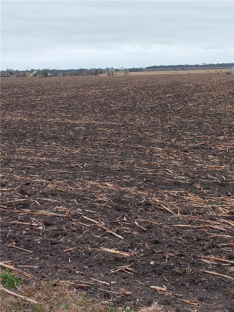 Tbd County Road 440 Property Photo