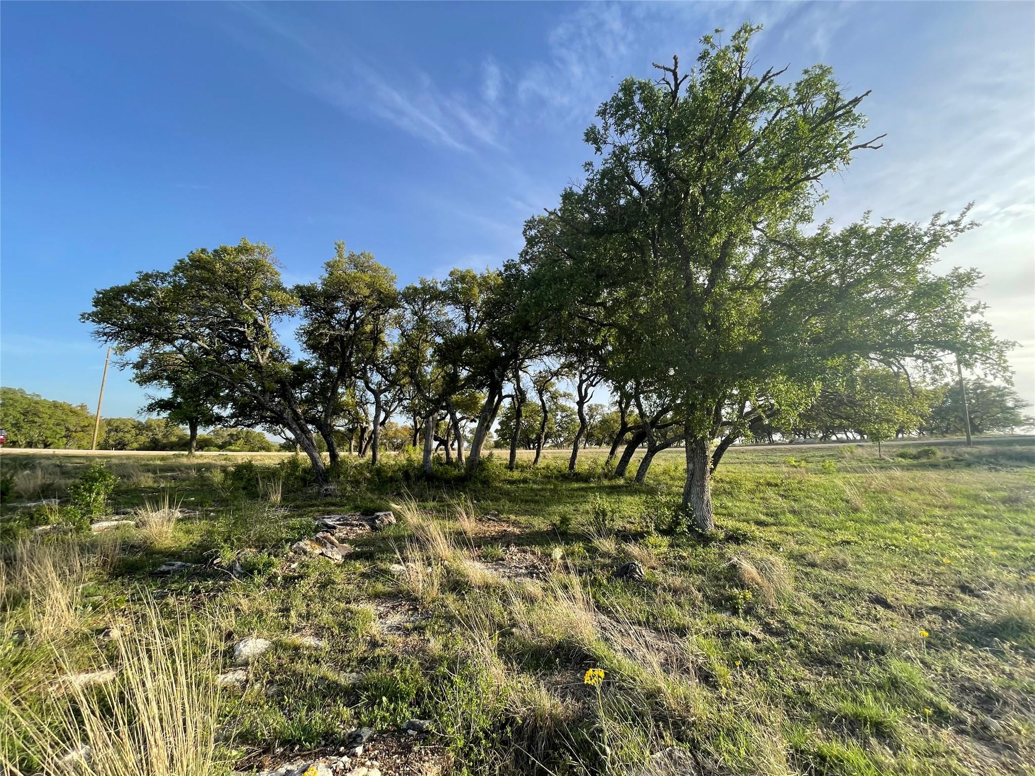 4853985 Property Photo 2
