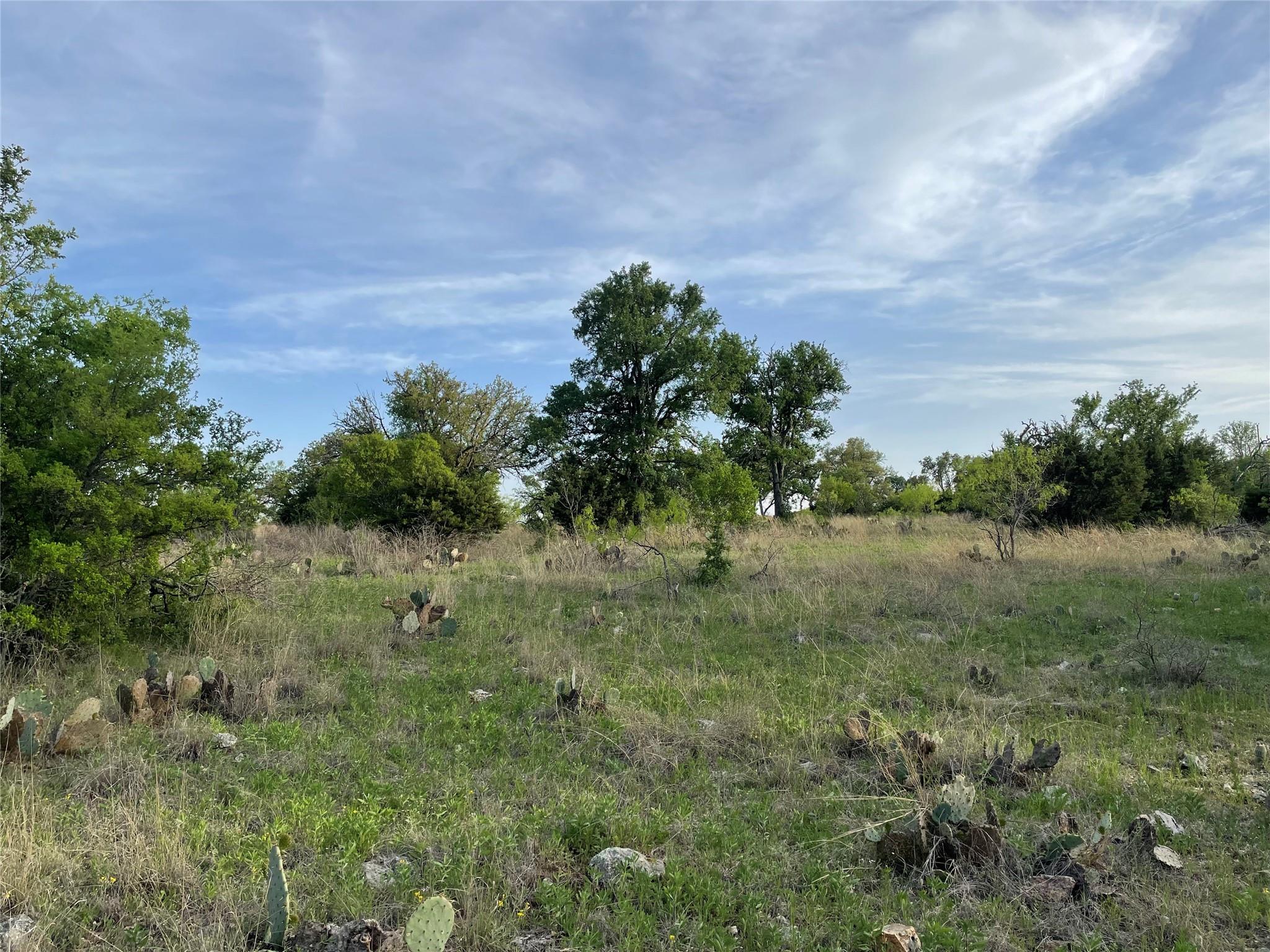 4853985 Property Photo 5
