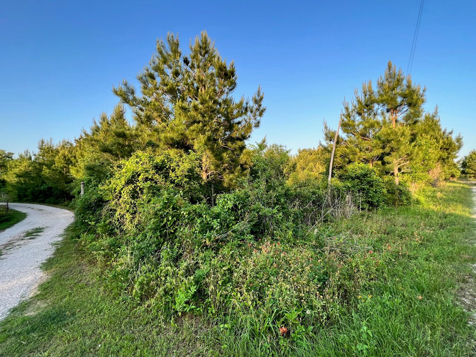 Lot 27 Kinsey Rd None Property Photo 3