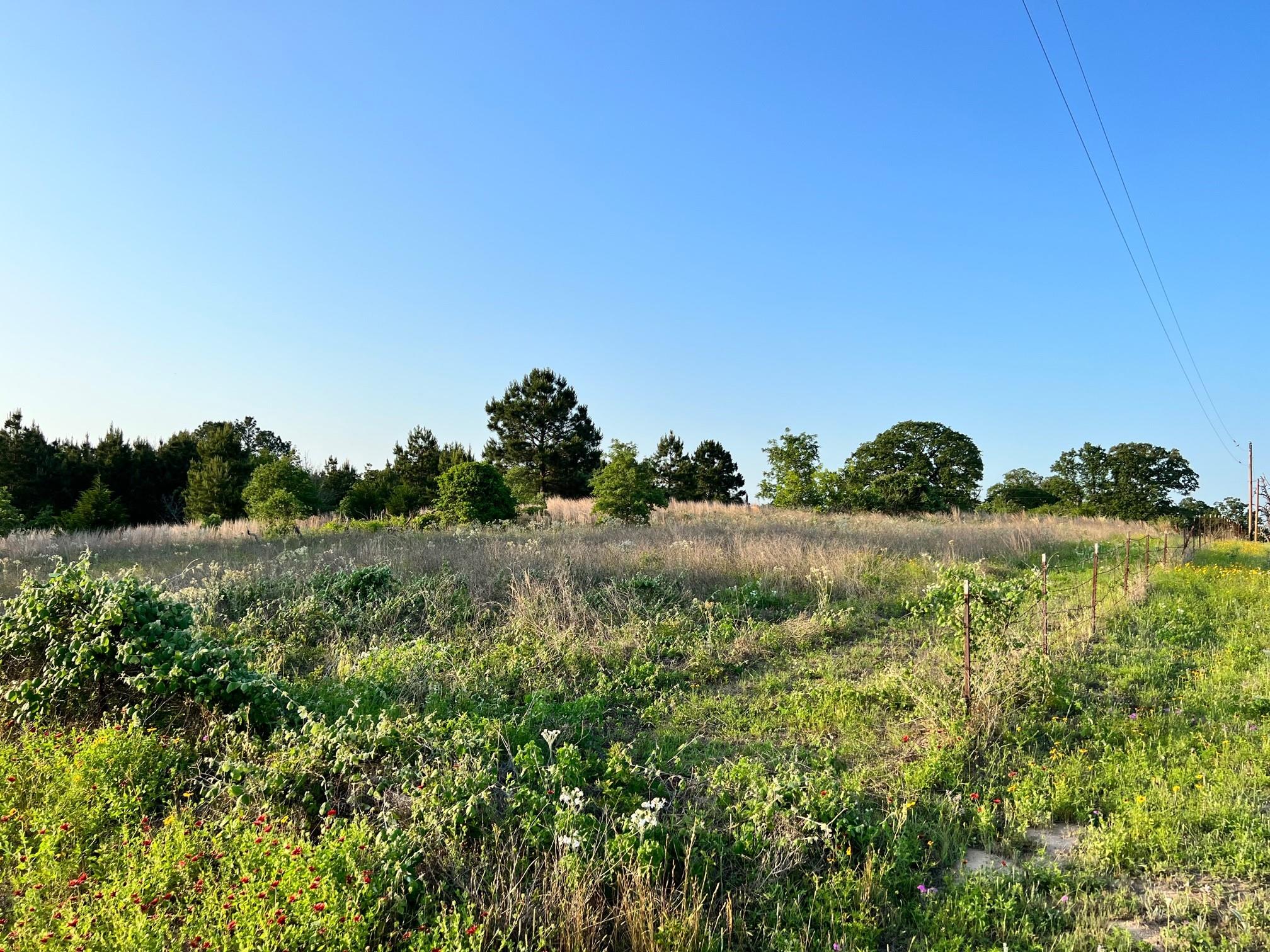 Lot 27 Kinsey Rd None Property Photo 5