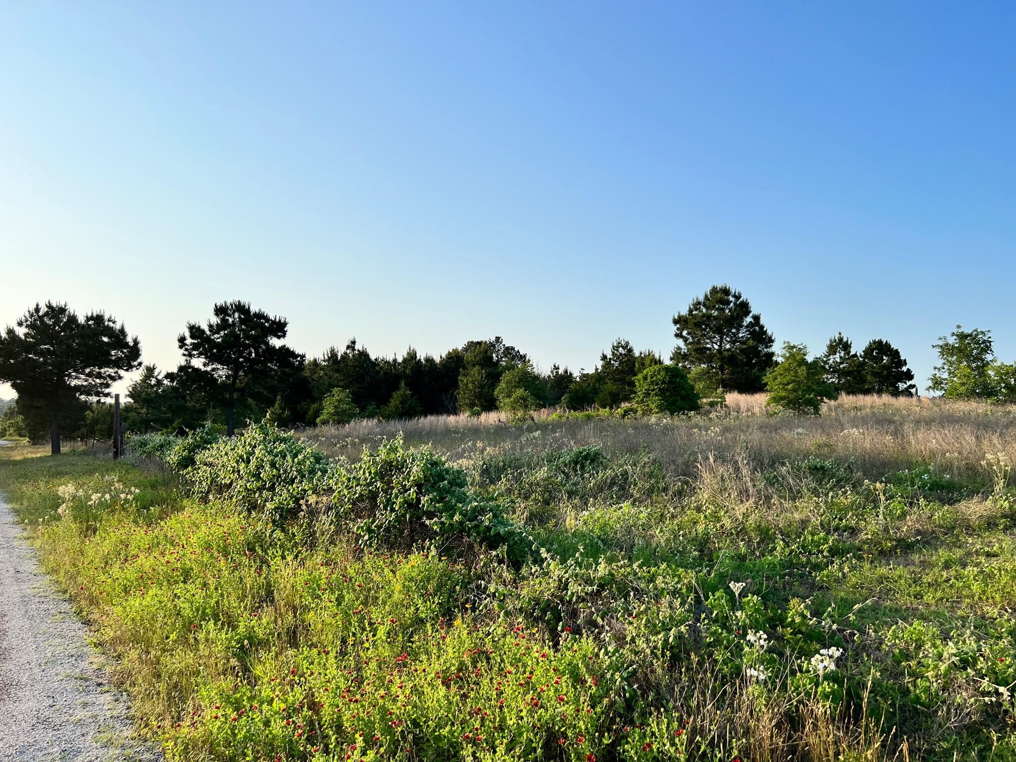 Lot 27 Kinsey Rd None Property Photo 6