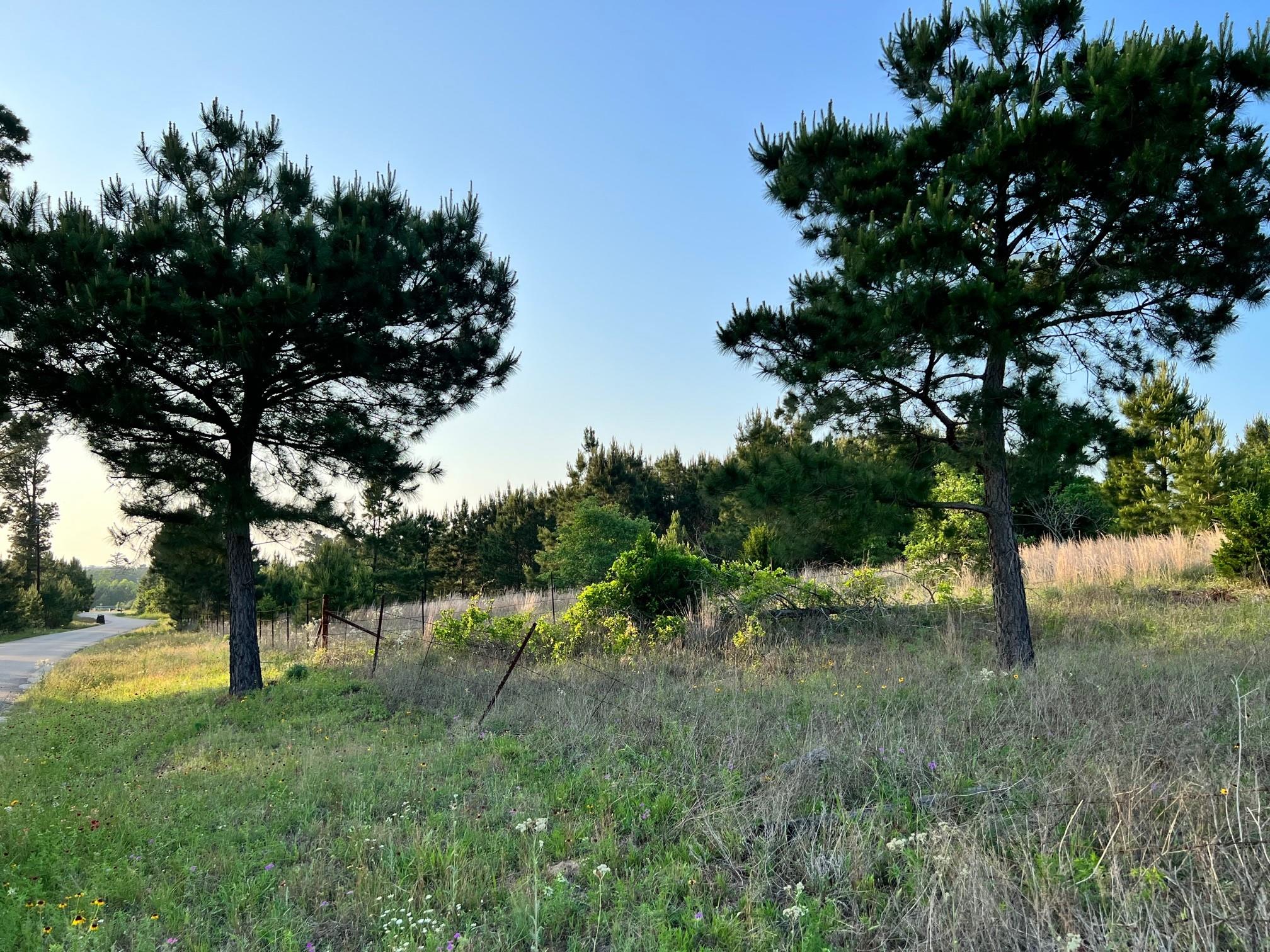 Lot 27 Kinsey Rd None Property Photo 7