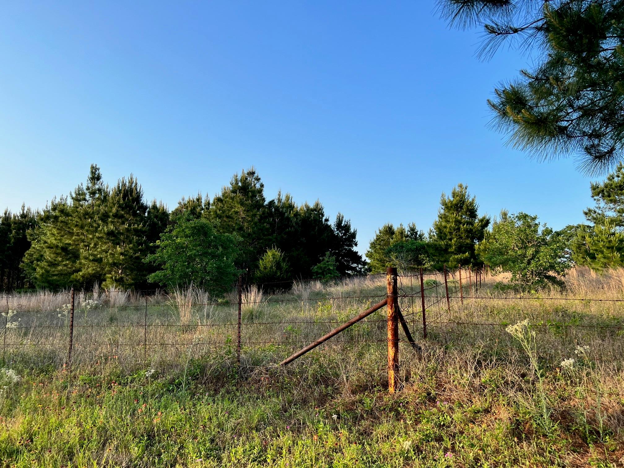 Lot 27 Kinsey Rd None Property Photo 8